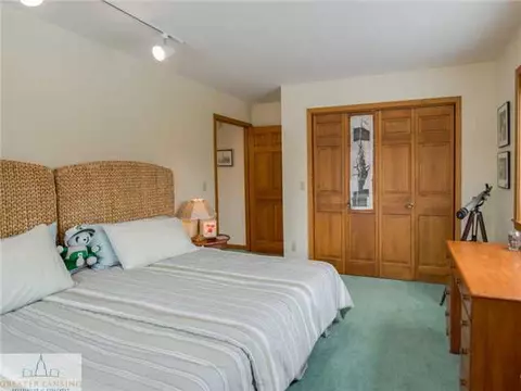 2275 Bravender Rd, Williamston, MI 48895 photo 17