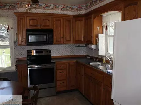 12115 M-52, Perry, MI 48872 photo 3