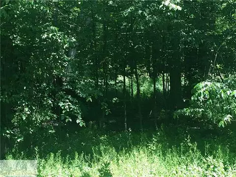 891 Fields Rd, Dansville, MI 48819 photo 21