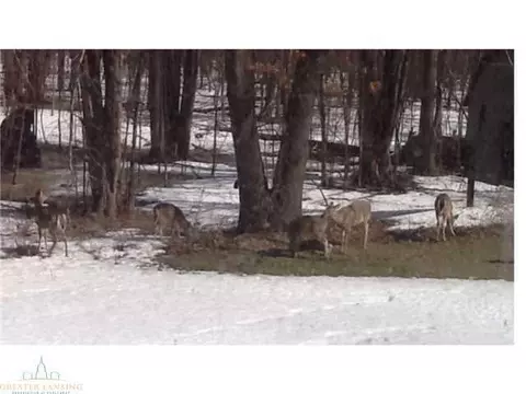 891 Fields Rd, Dansville, MI 48819 photo 23