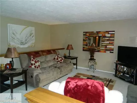 1069 Brookside, Grand Ledge, MI 48837 photo 4