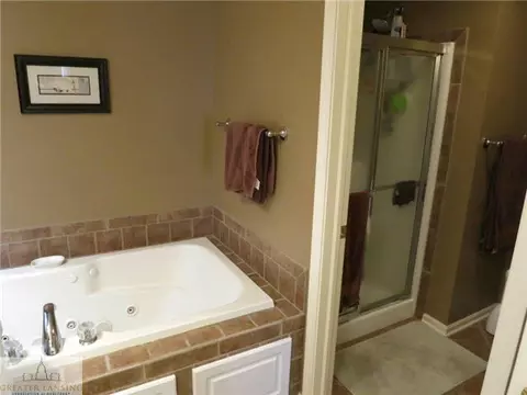 13620 Honeylocust Dr, Dewitt, MI 48820 photo 12