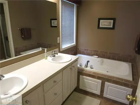 13620 Honeylocust Dr, Dewitt, MI 48820 photo 11