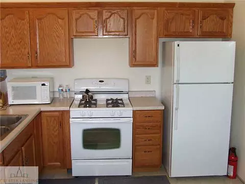 951 State, Harrison, MI 48625 photo 14