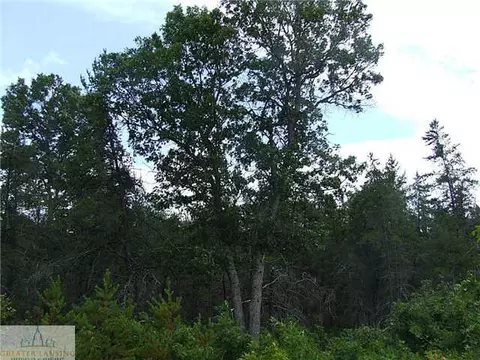 951 State, Harrison, MI 48625 photo 9