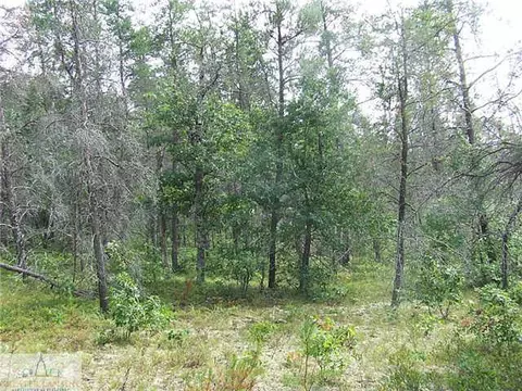 951 State, Harrison, MI 48625 photo 8