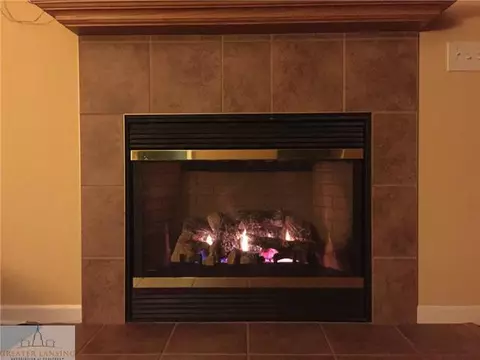1327 Hosta Ct, Holt, MI 48842 photo 9