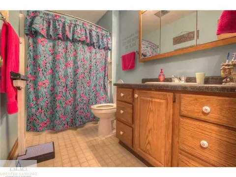 2444 Pine Tree Rd, Holt, MI 48842 photo 5