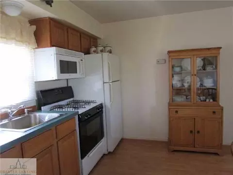 3920 Tuttle Rd, Leslie, MI 49251 photo 8