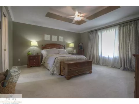 3192 Trisha Cir, Dewitt, MI 48820 photo 3