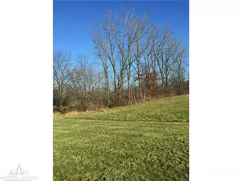 8789 S Williams Rd, Dewitt, MI 48820 photo 20