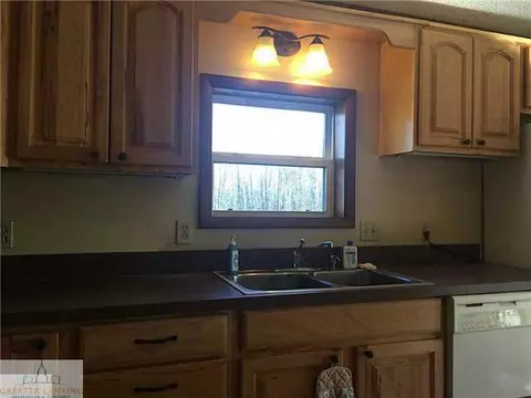 8789 S Williams Rd, Dewitt, MI 48820 photo 8