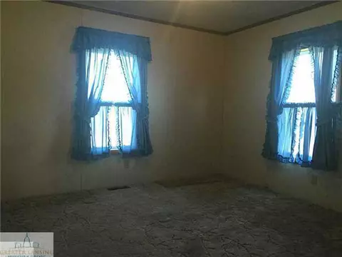 8789 S Williams Rd, Dewitt, MI 48820 photo 12