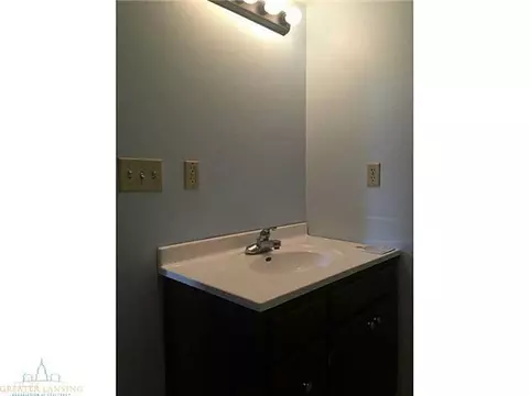 8789 S Williams Rd, Dewitt, MI 48820 photo 16