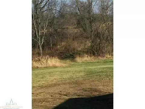 8789 S Williams Rd, Dewitt, MI 48820 photo 24