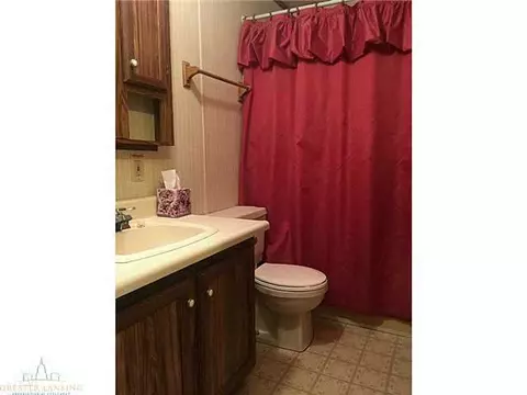 8789 S Williams Rd, Dewitt, MI 48820 photo 13