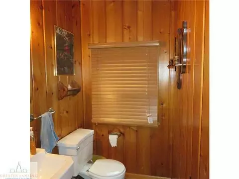2441 Pine Tree Dr, Holt, MI 48842 photo 17