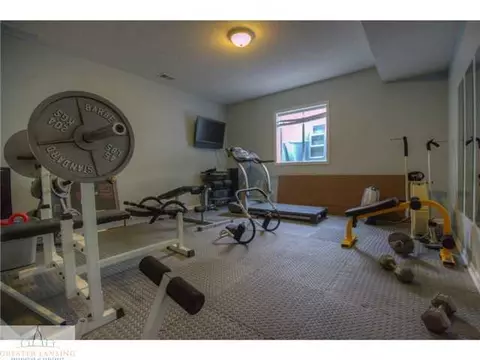 4450 Lavendar Ln, Dewitt, MI 48820 photo 17
