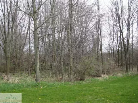 4600 Bison, Holt, MI 48842 photo 25