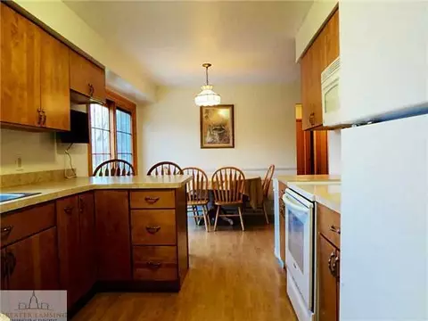 1175 Ro Dic, Dewitt, MI 48820 photo 3