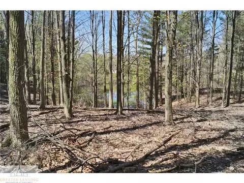 2798 Granger Rd, Lansing, MI 48917 photo 24