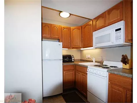 12141 Chandler Rd, Bath, MI 48808 photo 20