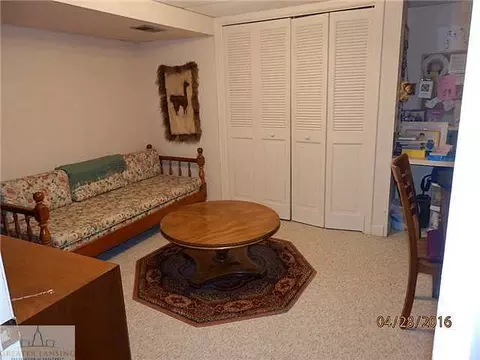 1105 Mora, Dewitt, MI 48820 photo 16