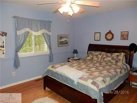 1105 Mora, Dewitt, MI 48820 photo 12