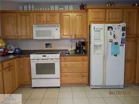 1105 Mora, Dewitt, MI 48820 photo 7