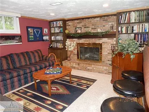 1105 Mora, Dewitt, MI 48820 photo 19