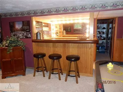 1105 Mora, Dewitt, MI 48820 photo 21