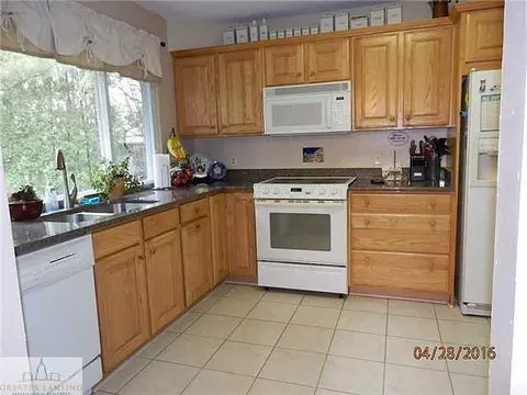 1105 Mora, Dewitt, MI 48820 photo 9