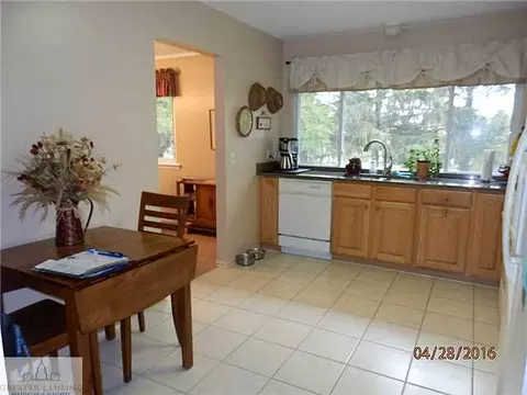 1105 Mora, Dewitt, MI 48820 photo 6