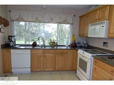 1105 Mora, Dewitt, MI 48820 photo 8