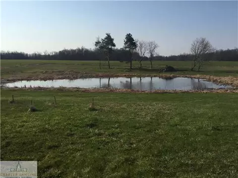 6684 E Cutler Rd, Bath, MI 48808 photo 4