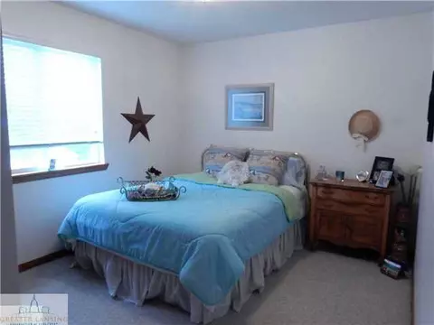 309 N Bridge St, Dewitt, MI 48820 photo 11