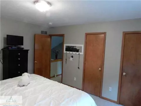 309 N Bridge St, Dewitt, MI 48820 photo 12