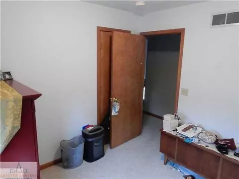 309 N Bridge St, Dewitt, MI 48820 photo 15
