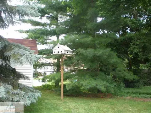 309 N Bridge St, Dewitt, MI 48820 photo 23