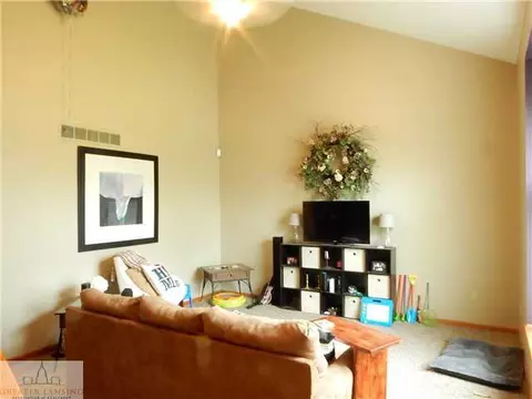 309 N Bridge St, Dewitt, MI 48820 photo 3