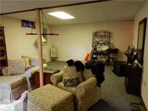 309 N Bridge St, Dewitt, MI 48820 photo 18