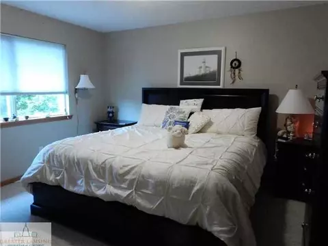 309 N Bridge St, Dewitt, MI 48820 photo 10