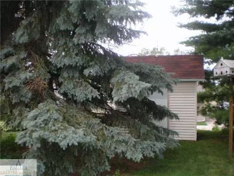 309 N Bridge St, Dewitt, MI 48820 photo 24