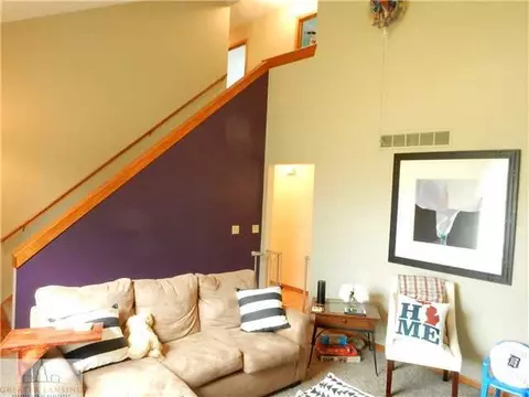 309 N Bridge St, Dewitt, MI 48820 photo 4
