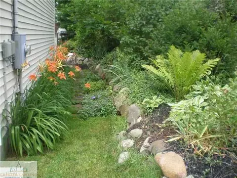 309 N Bridge St, Dewitt, MI 48820 photo 20