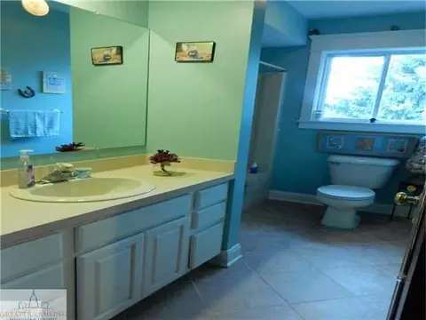 309 N Bridge St, Dewitt, MI 48820 photo 13