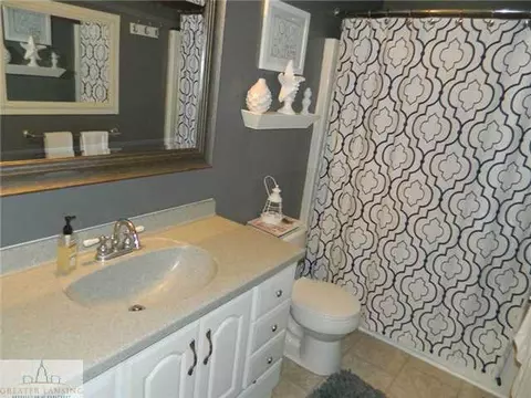12685 Kruger Ln, Dewitt, MI 48820 photo 7