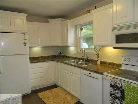 12685 Kruger Ln, Dewitt, MI 48820 photo 5