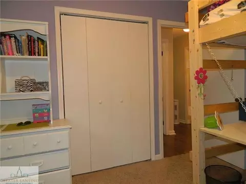 12685 Kruger Ln, Dewitt, MI 48820 photo 10