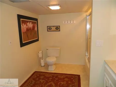 12685 Kruger Ln, Dewitt, MI 48820 photo 15